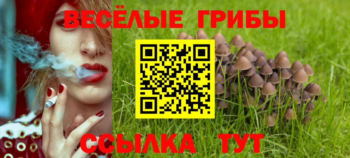 Галлюциногенные грибы мицелий  купить  цена  Щёлково  Вход с VPN  Галлюциногенные грибы ЛСД 